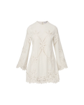 Amberg Lace Mini Dress
