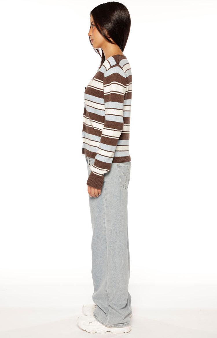 Misha Brown and Blue Stripe Button Down Cardigan